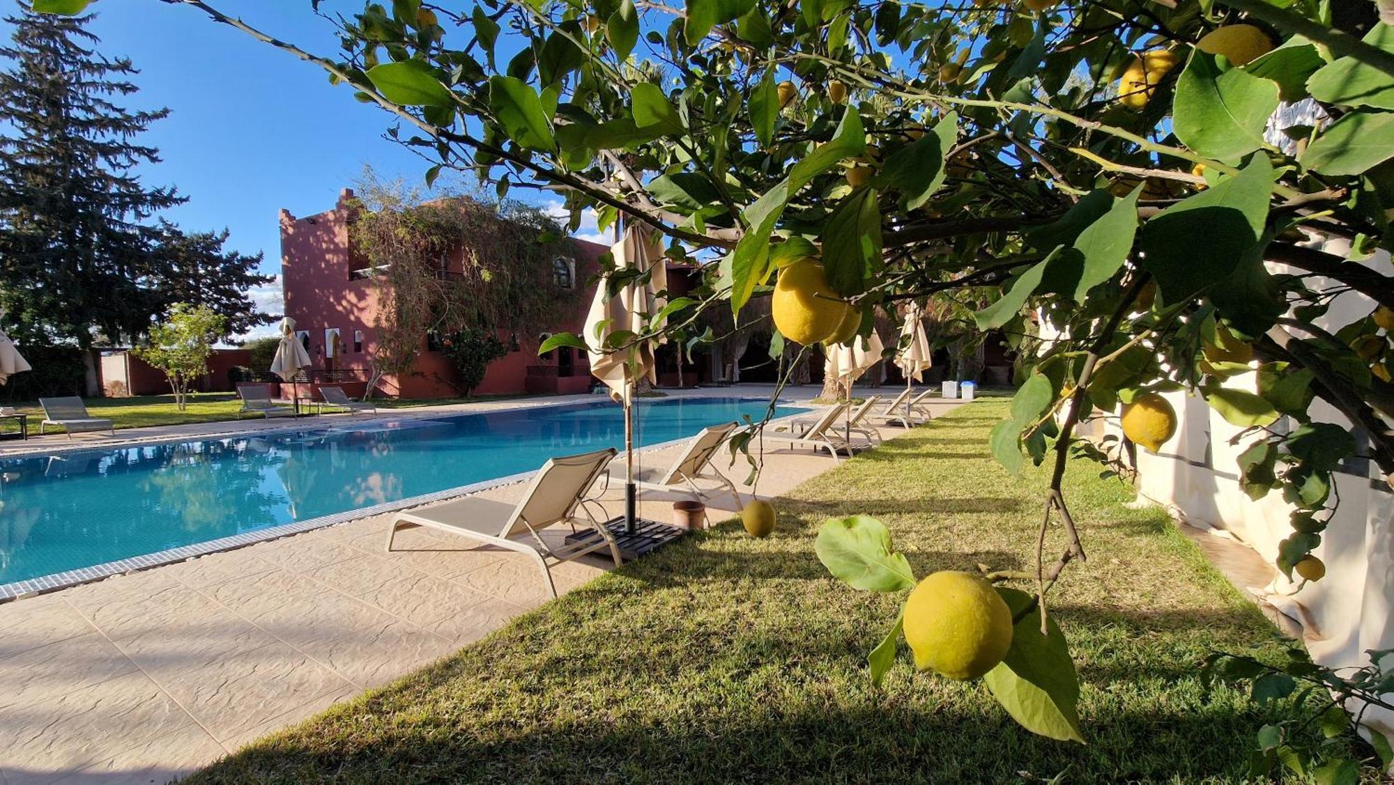Palace Africa - Marrakech Palmeraie Dar Ilham Douar Blidene 外观 照片